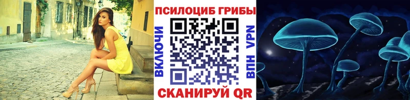закладки  Старый Крым  Псилоцибиновые грибы MAGIC MUSHROOMS 